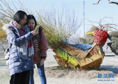 北京举行首届地景艺术节