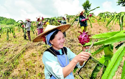 贵州：全力攻坚清除“负遗产”