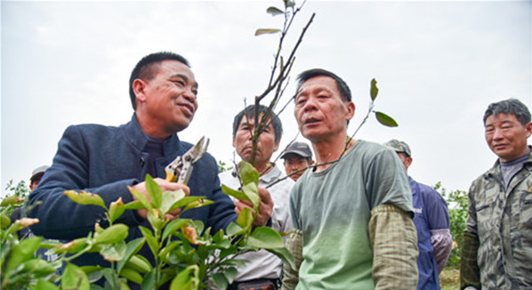 桂阳：科技人才提升产业扶贫“含金量”