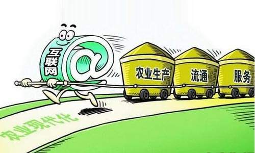     中央一号文件加持 今年农业电商风云再起