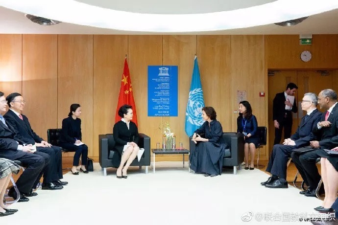 彭丽媛出席联合国教科文组织女童和妇女教育特别会议