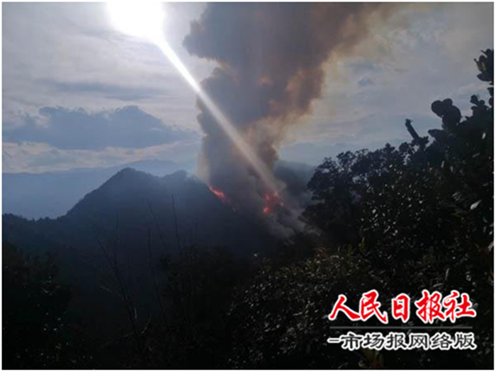 【七律】(新韵) 凉山救火英雄祭        