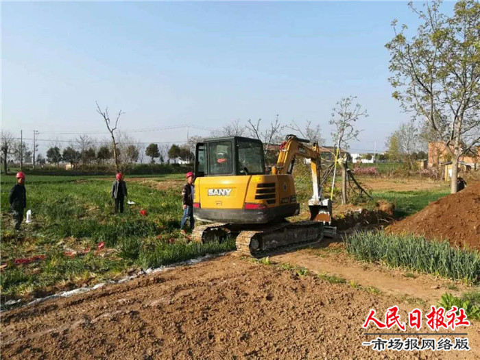 产业扶贫“挑大梁”  构建致富大格局 ---金台区产业扶贫侧记  