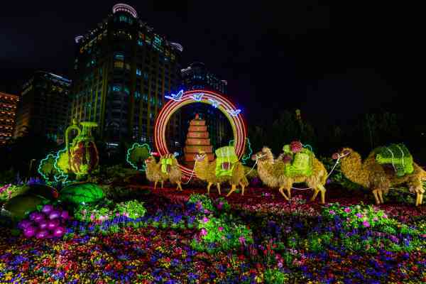  惊艳!东单路口＂一带一路＂花坛景观雨夜亮灯