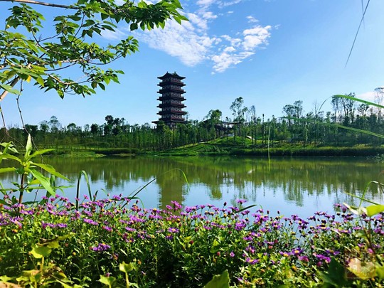 遂宁龙凤源生态公园7月1日开园 12处特色景观等你来赏