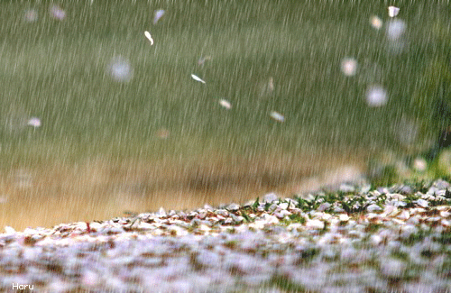雨来了！河北全省限行即将调整！1地双休日单双号限行……