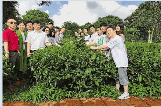 跨越千里精准扶贫，浙大在云南景东开出三个“药方”—— 无量山上写传奇