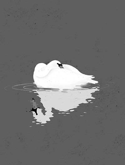 动物的“半睡眠”现象