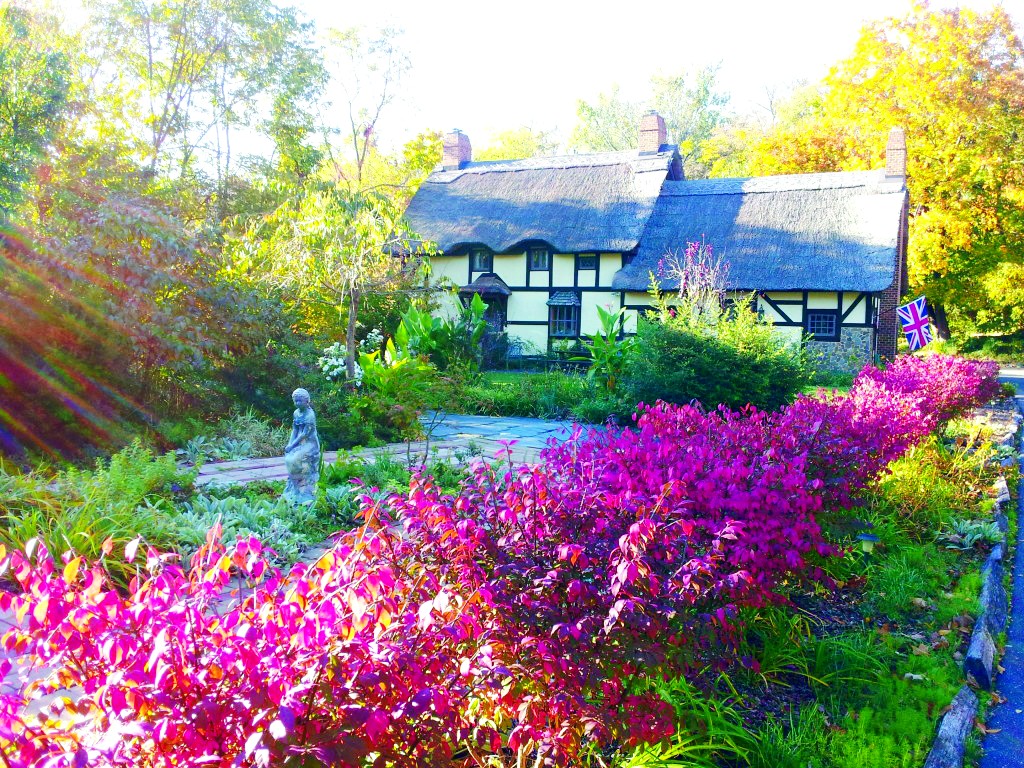 带花园“茅草屋”成英国国宝