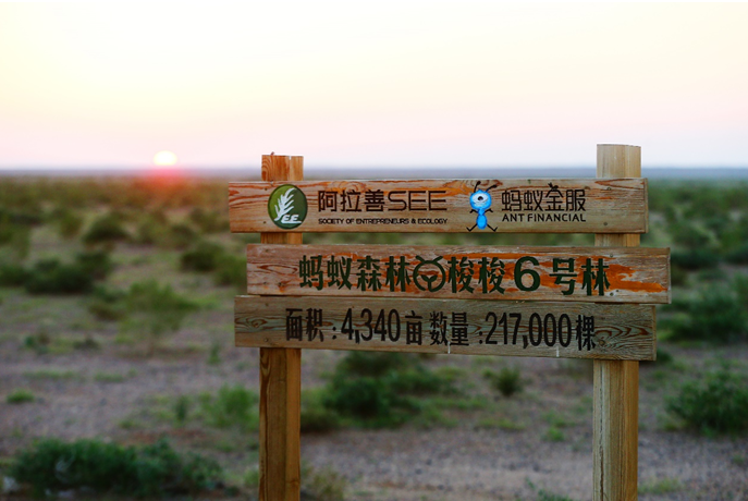 支付宝蚂蚁森林获联合国最高环保荣誉“地球卫士奖”