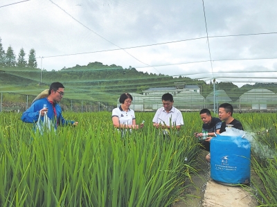 福州寿山试验基地：追求用种子改变世界