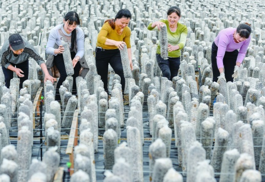 “飞地产业”助增收