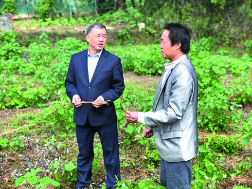 7亿元“梅山债”种下脱贫大希望