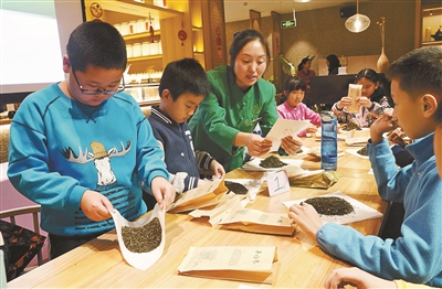 圆桌小记者探寻茶文化
