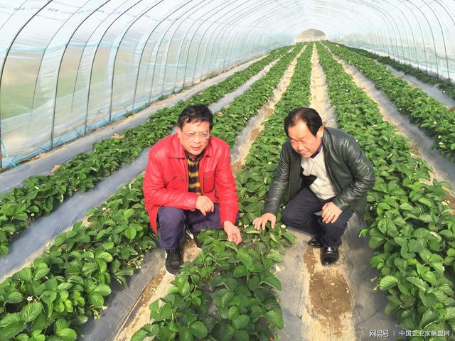 从物流出发，与农业结亲——房恒金和他的两家企业成长故事