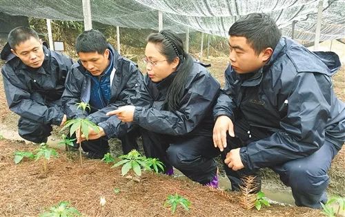 科技特派员制度再度创新 跨区域服务带动乡村振兴