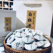 喝白茶好处多多 你知道怎么正确饮用吗？
