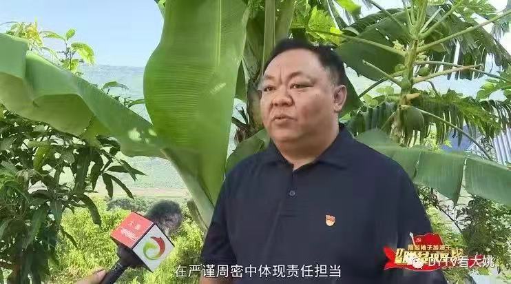 云南楚雄“80后”基层干部白发照刷爆朋友圈曾被评为“优秀基层干部”