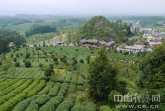  【评新而论·中国经济再出发】顺畅资源双向流通渠道 绘就城乡融合发展美景