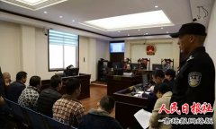 商丘梁园：专业“碰瓷”黑团伙8名被告人受审