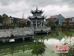 浙”水情绵四十年：护卫民生 服务发展 造优生态