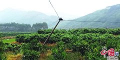 台风“山竹”来袭    金秀部分乡镇受灾严重