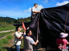 广西金秀：志愿者服务队助力企业灾后重建
