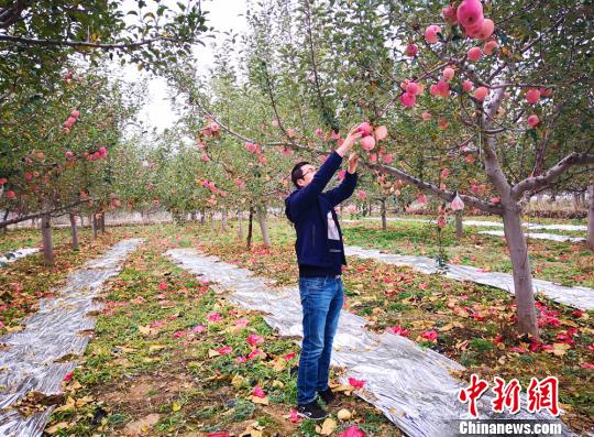 甘肃庆阳扶贫产业“遍地开花”多途径引贫困户增收致富