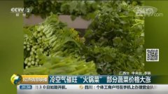 冷空气催旺“火锅菜” 部分蔬菜价格大涨每斤破6元