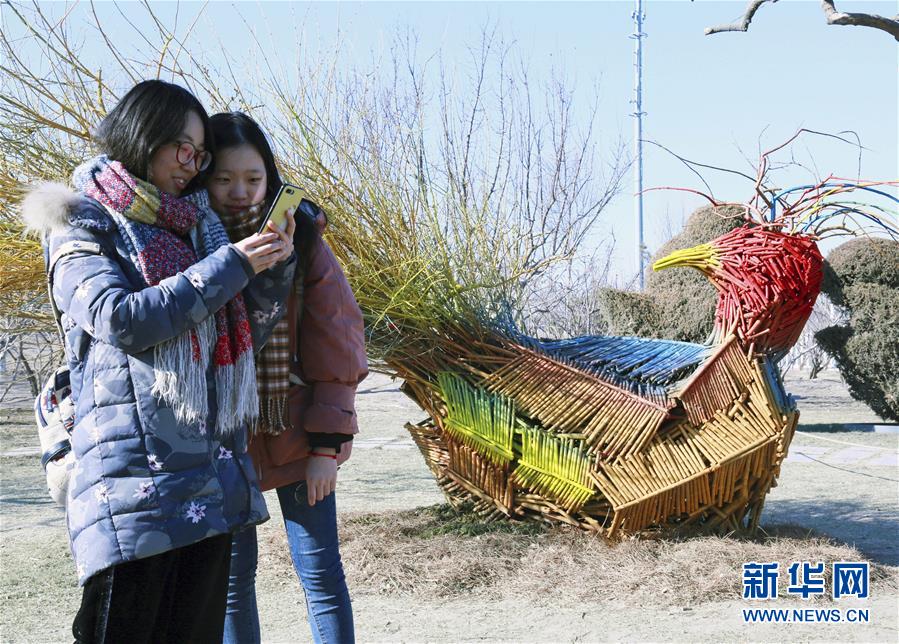 #(社会)(1)北京举行首届地景艺术节