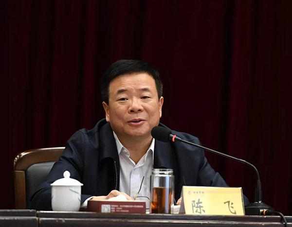  湖南省人民政府副省长陈飞在会上讲话 