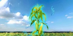 龙力生物核心竞争力来自科技创新