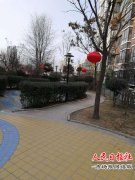 平原物业办开展节前物业小区环境卫生综合整治
