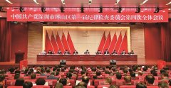 为打造高质量可持续发展的 创新坪山提供坚强保证