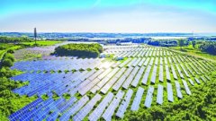 聚力改革创新 奋力拼搏赶超 江夏高质量发展逐梦再出发
