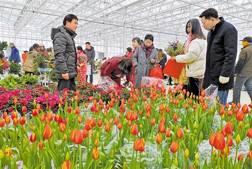    春节黄金周：全国零售餐饮销售破万亿元 旅游接待总人数4.15亿人次