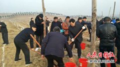 河南商丘:上班第一天，干部义务植树贺新年