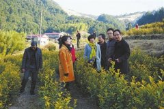 播撒科技的种子 追梦希望的田野