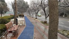     雪后绿色生态廊道 风景旖旎空气清新