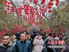  不过十五不出年，开封万岁山庙会邀你红火度佳节!