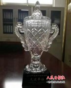  河南宁陵县法院2018年多项工作获县委、县政府表彰