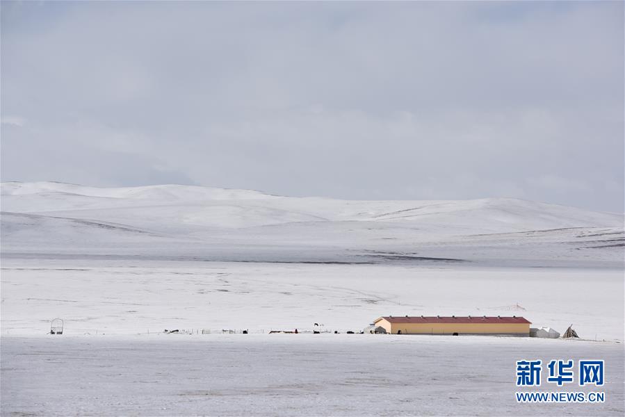 (图片故事)(1)我的草场分你一半,携手共渡雪灾难关