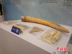 南宁海关重拳打击走私 去年查获案件案值超44亿