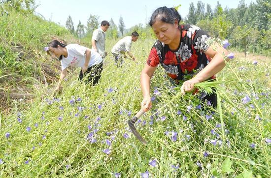 南召县培育生态产业建设“绿色银行”
