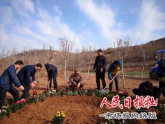 陕西宝鸡千余干群植树添新绿