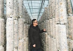 “扶贫车间”建到家门口