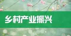 贺营镇：大力发展梨树种植，推动乡村产业振兴