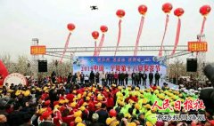 柳絮风轻、梨花雨细，中国·宁陵第十六届梨花节盛装开幕!