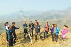 靠山吃山有了新“吃法”