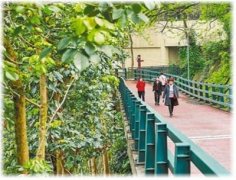 山城步道，承载时空记忆